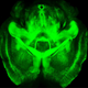 Illustration for article titled Scientists can now turn brains invisible